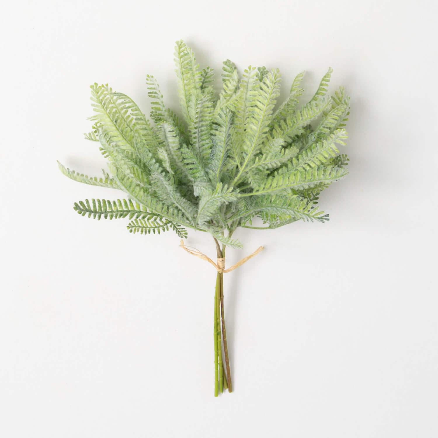 Mint Green Fern Bush